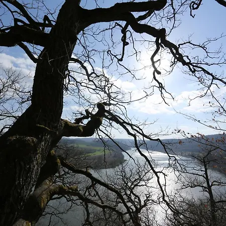 Alta Bad Wildungen